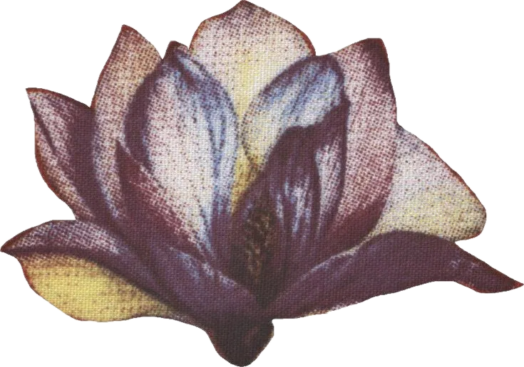 Orchid decoration